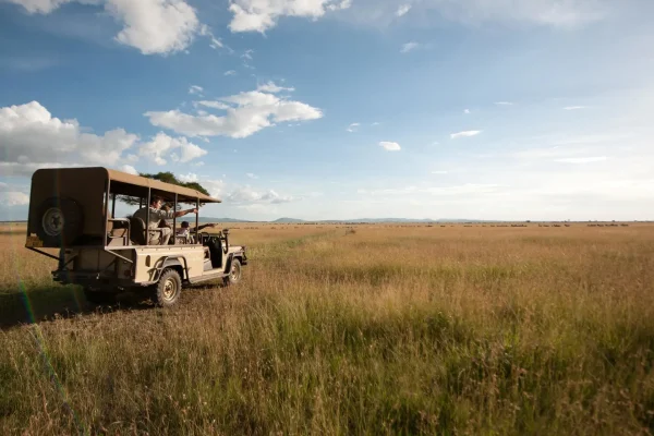 Things to Do in Tanzania