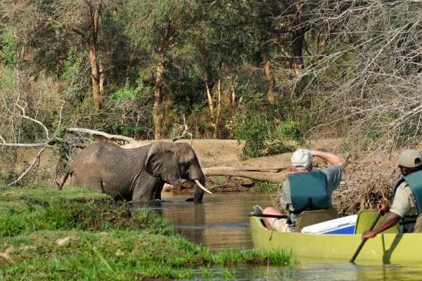 Zambia Safaris & Trip Ideas