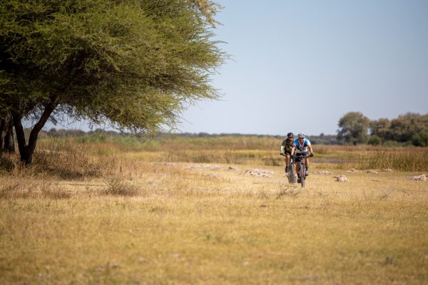 Cycling Safaris