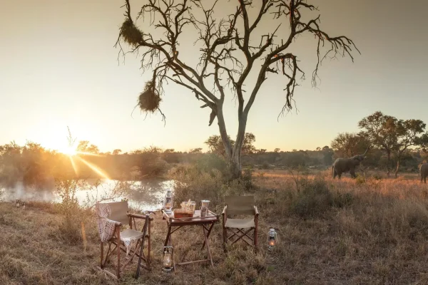 South Africa Safari And Beach Holidays