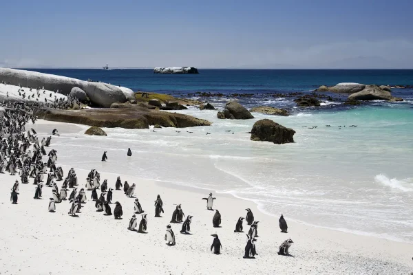 South Africa Safari & Beach Holidays