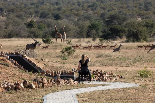 Wheelchair accessible safaris