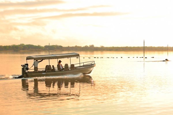 Where to go on a Boating Safaris