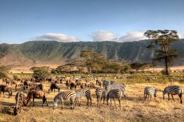 3 Days Serengeti And Ngorongoro Safari