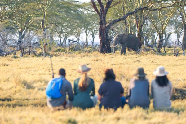 Conservation Safaris