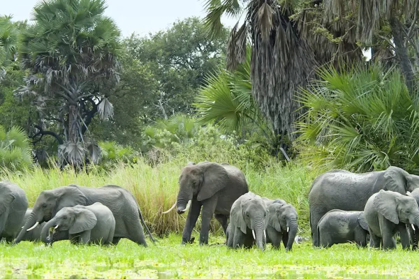 Family safari and beach