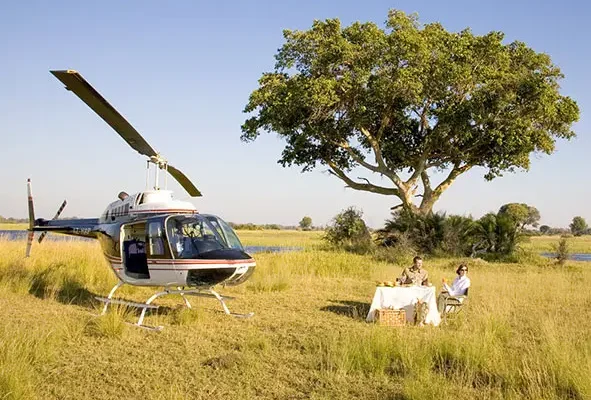 Fly-In Safari