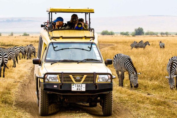 Going on Safari