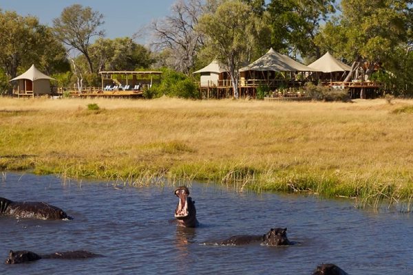 Honeymoon Safaris Okavango Delta