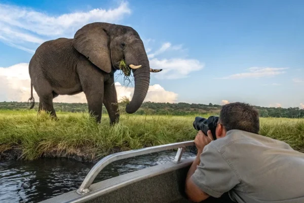 Luxury Photographic Safaris