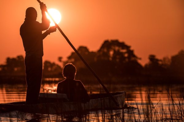 Luxury vs Budget Safaris