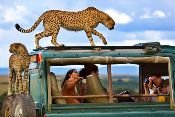 Masai Mara Safari Packages
