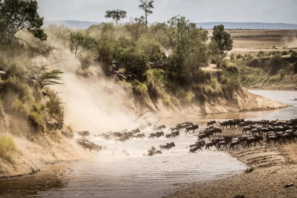 Rwanda Tanzania Zanzibar Itinerary