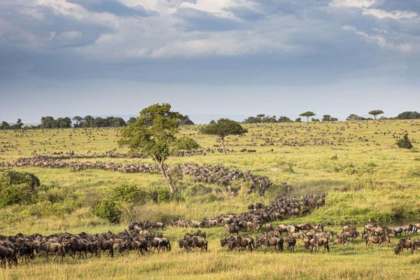 Serengeti vs Ngorongoro Itinerary