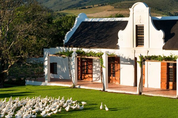 South Africa Gourmet Culinary Tour