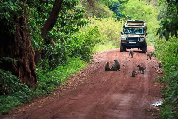 Tanzania Northern Circuit Itinerary