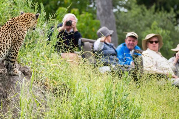 Walking Safaris Okavango Delta