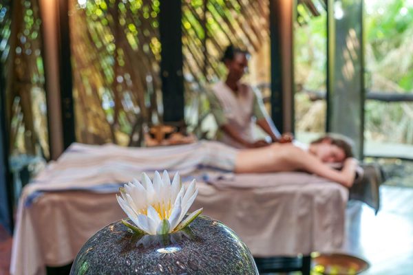 Wellness Safaris