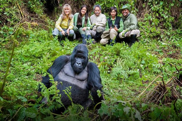 Gorilla Watching Tours