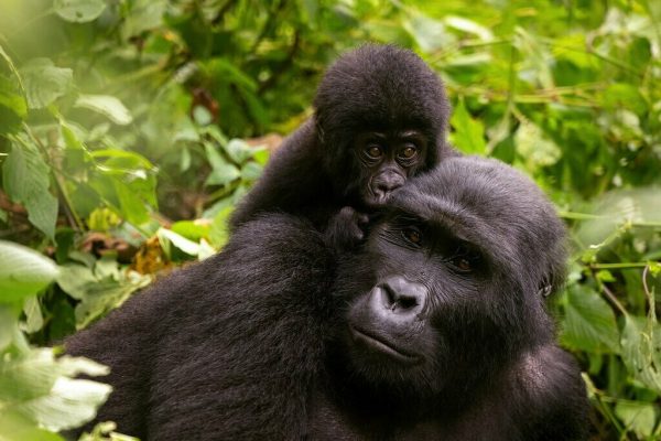 1 Week in Uganda