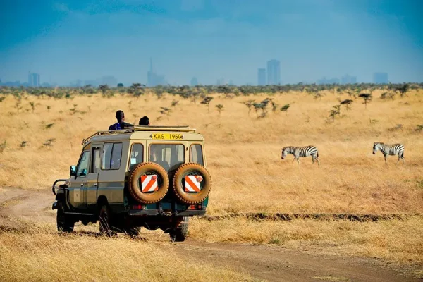 10 Day Kenya Lion King