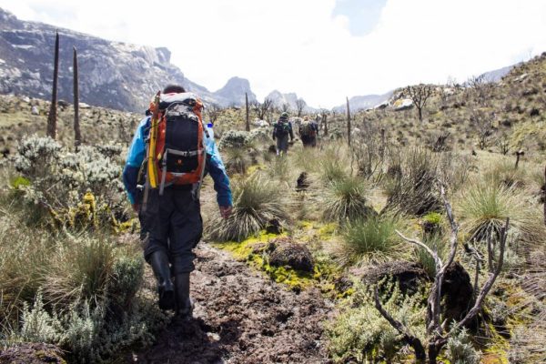 2 Days Rwenzori Trekking