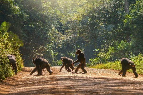 2 Weeks in Uganda