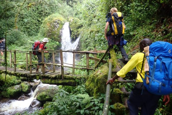 3 Days Rwenzori Trekking