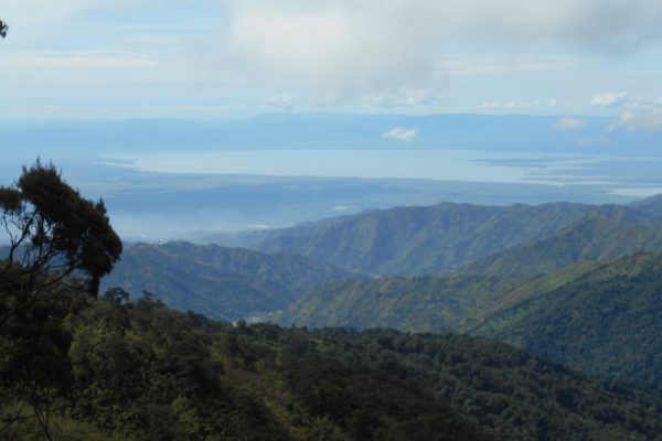 4 Days Rwenzori Trekking