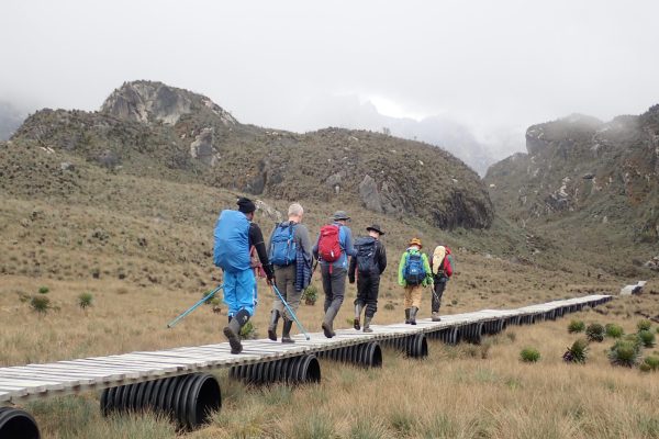 4 Peaks Rwenzori Mountains Trek