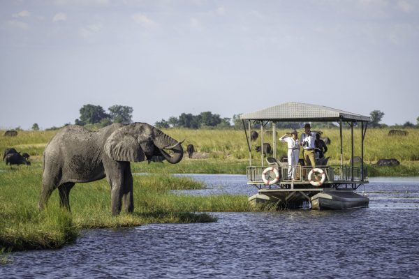 Desert, Delta And Chobe Safari Desert, Delta And Chobe Safari