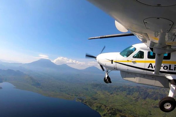 Gorilla Flying Safaris Experiences Gorilla Flying Safaris Experiences