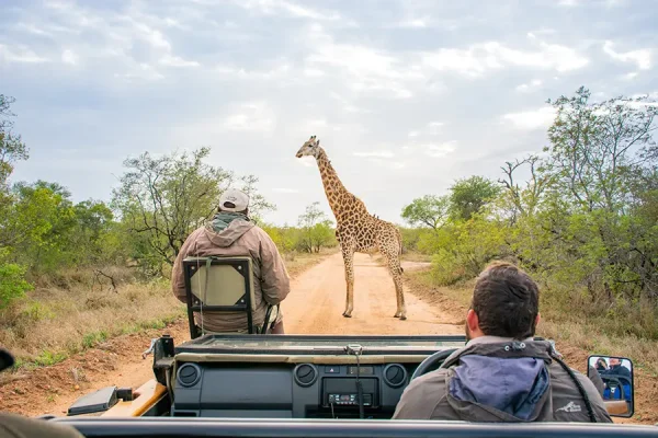 Halal-friendly Safaris in Africa