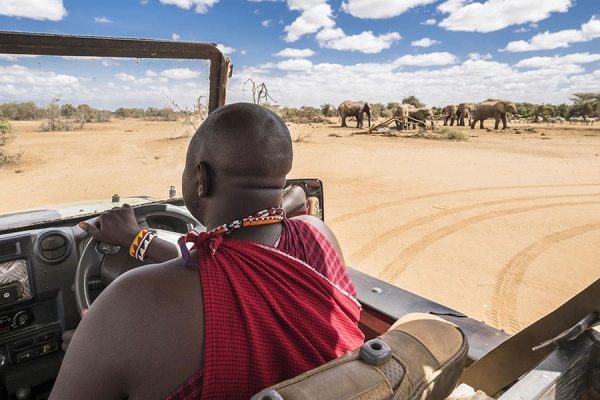Kenya's Four Parks Conservation, Community & Wildlife Safari