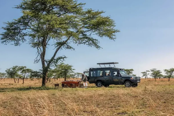 Tanzania Luxury Fly-In Safaris