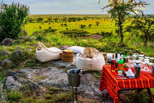 Luxury Tanzania Safari Luxury Tanzania Safari Retreat