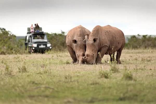 Mount Kenya-Samburu-Masai Mara