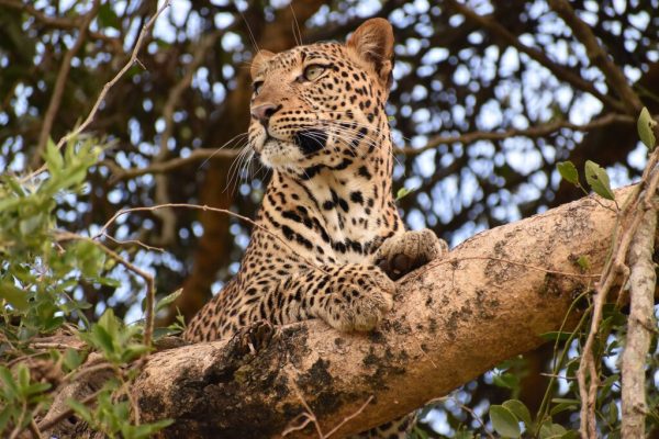 5 Days in Uganda