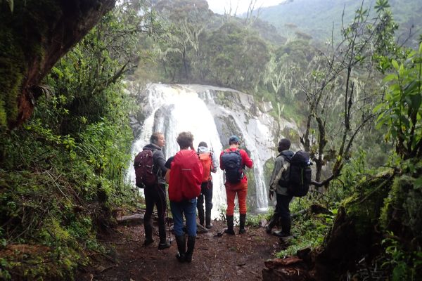 Waterfalls of the Rwenzoris