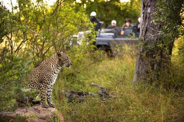 Cape town Kruger and Seychelles