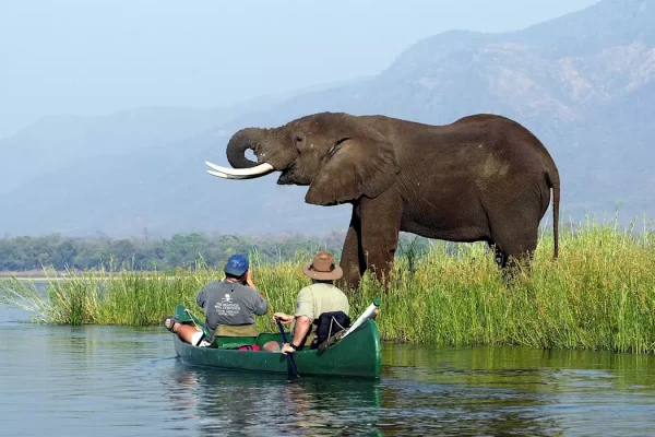 Mana Pools & Lake Kariba Itinerary Mana Pools & Lake Kariba Itinerary