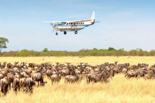 4 Days Serengeti Flying Safari 4 Days Serengeti Flying Safari