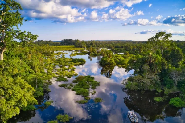 Congo Gorilla Safari & River Adventure