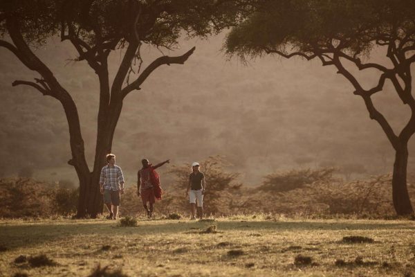 Masai Mara And Samburu Fly-in