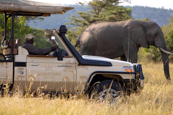 Masai Mara And Samburu Fly-in Safari Masai Mara And Samburu Fly-in Safari