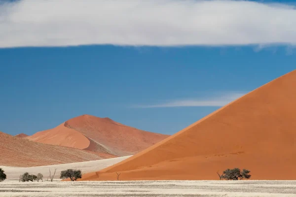 Pan-Africa Safaris