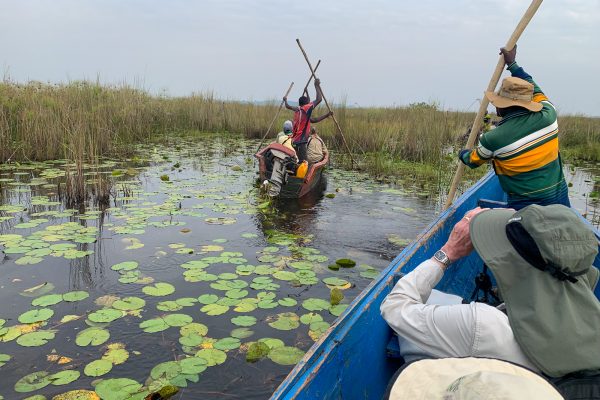 Uganda Birding Trip Reports