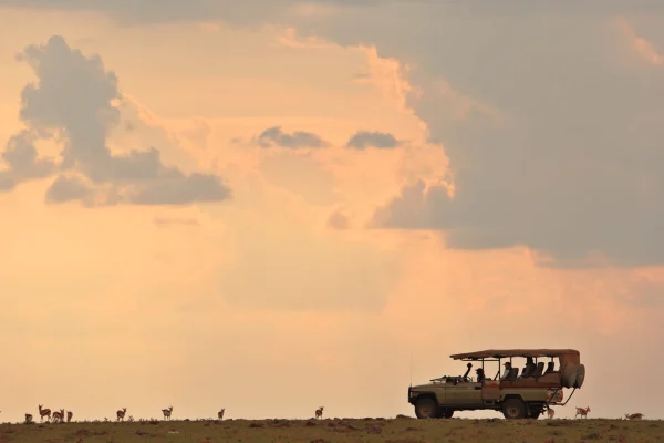 Uganda vs Kenya Safari