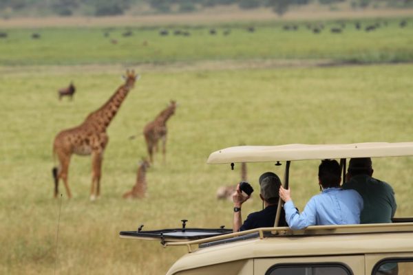 Rwanda Wildlife Safaris
