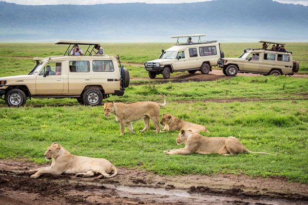 3 Days Serengeti And Ngorongoro Safari